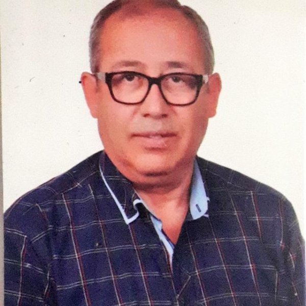 Member of Board of Auditors